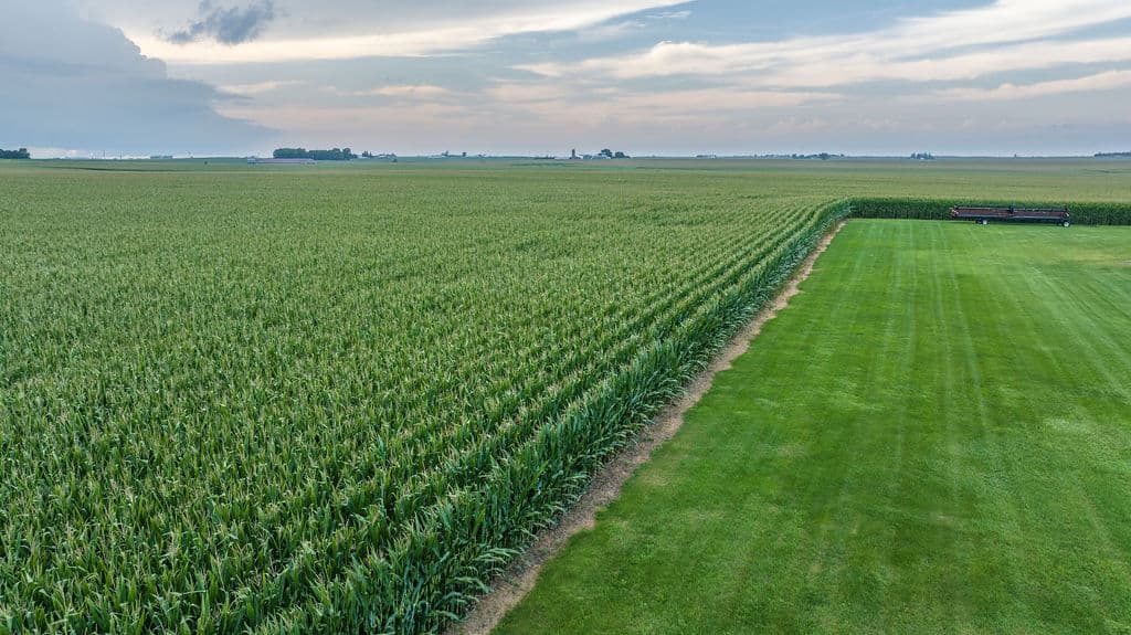 Cornfield meeting cut grass, low aerial