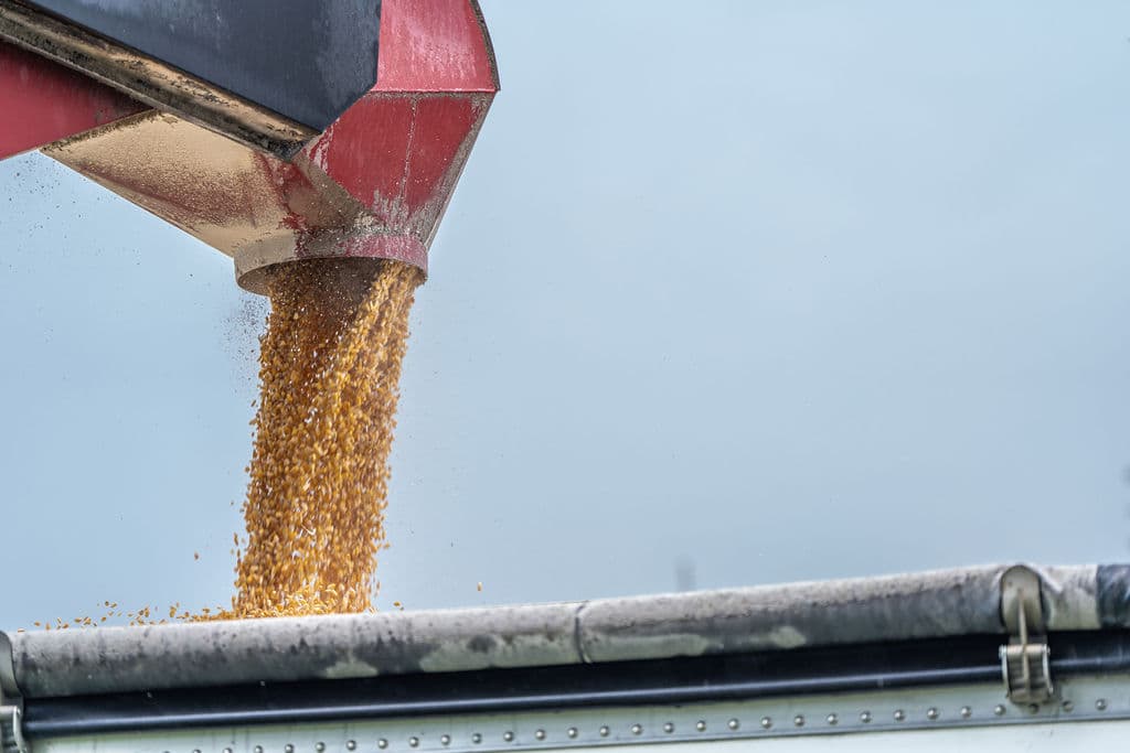 Grain streaming from the auger into the trailer