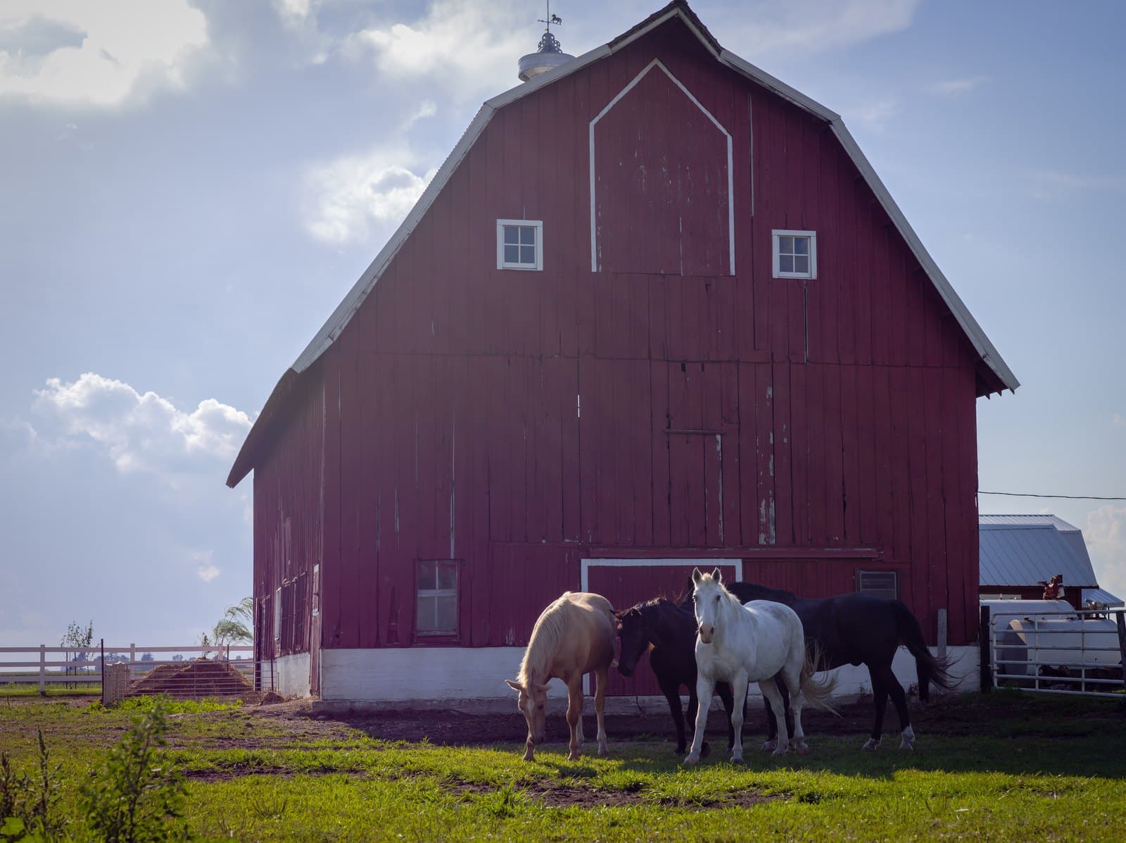 Horses outside the old red barn